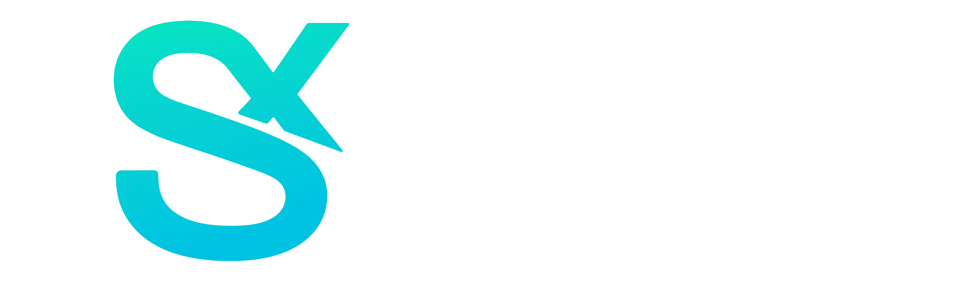 SyntaxEror Logo