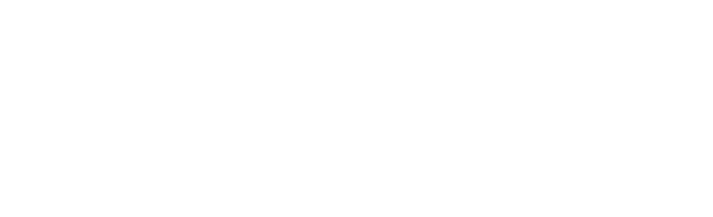 Devino Solutions Inc